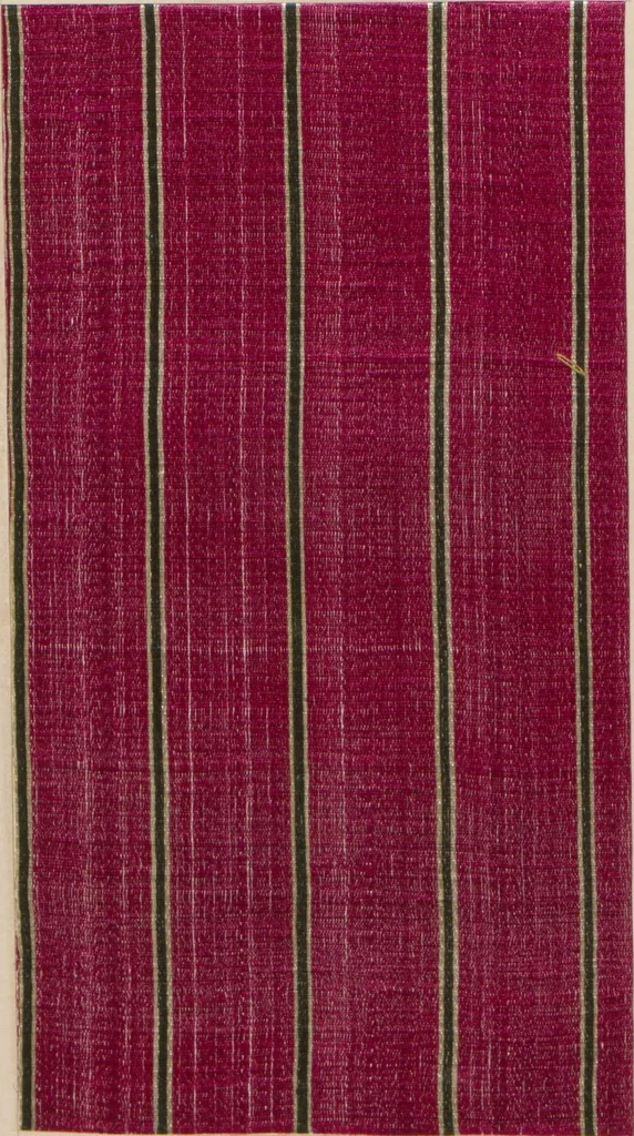 An illustration from Collection of specimens and illustrations of the textile manufactures of India. Second series, 0459-0525 / prepared under the direction of J. Forbes Watson, 1873, leaf 34
