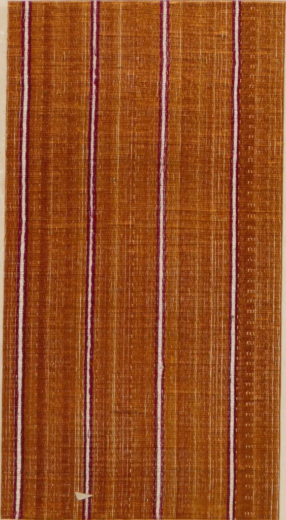 An illustration from Collection of specimens and illustrations of the textile manufactures of India. Second series, 0459-0525 / prepared under the direction of J. Forbes Watson, 1873, leaf 35