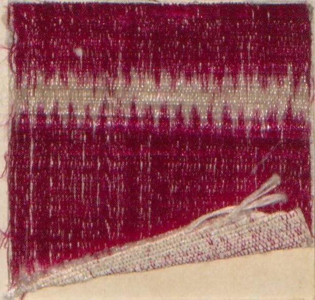 An illustration from Collection of specimens and illustrations of the textile manufactures of India. Second series, 0459-0525 / prepared under the direction of J. Forbes Watson, 1873, leaf 38