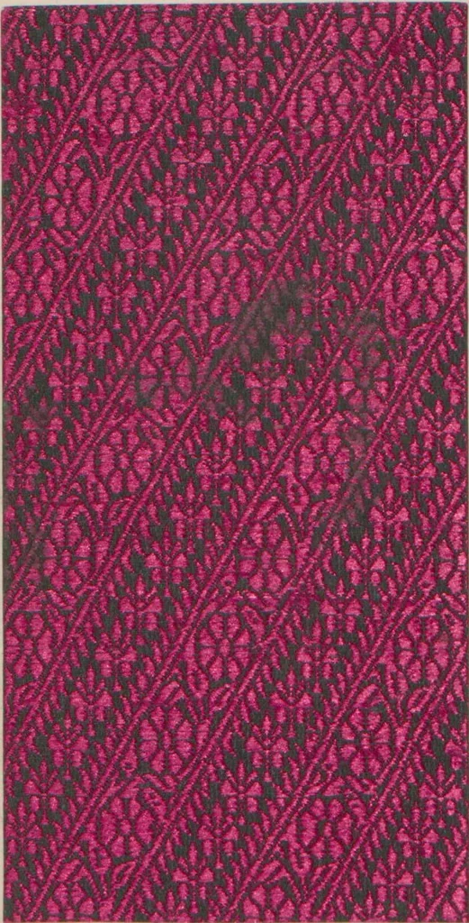 An illustration from Collection of specimens and illustrations of the textile manufactures of India. Second series, 0459-0525 / prepared under the direction of J. Forbes Watson, 1873, leaf 51