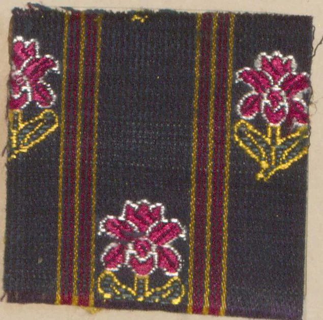 An illustration from Collection of specimens and illustrations of the textile manufactures of India. Second series, 0459-0525 / prepared under the direction of J. Forbes Watson, 1873, leaf 56