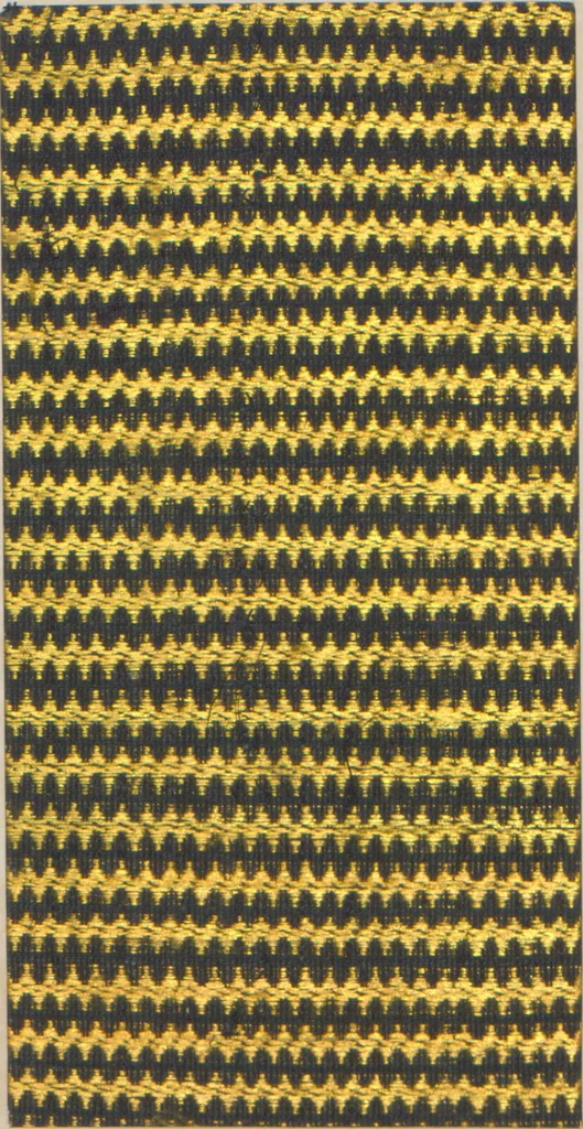 An illustration from Collection of specimens and illustrations of the textile manufactures of India. Second series, 0459-0525 / prepared under the direction of J. Forbes Watson, 1873, leaf 61
