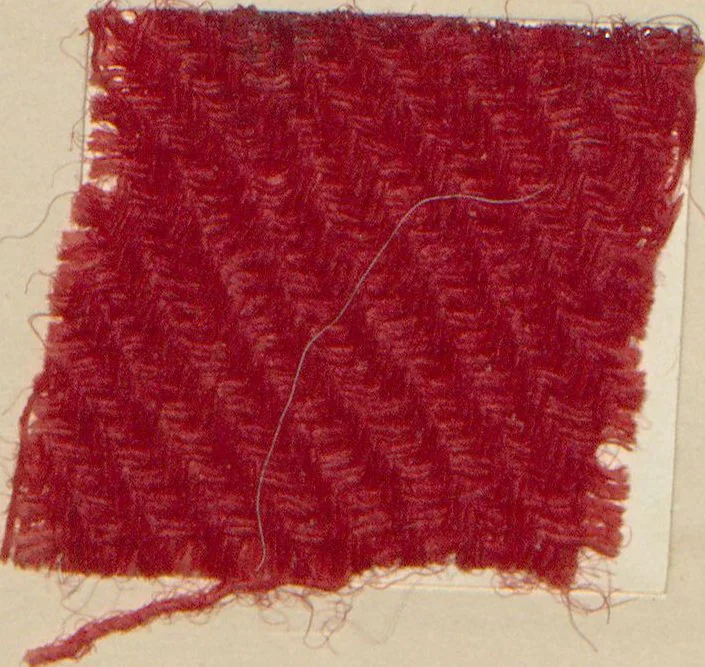 An illustration from Collection of specimens and illustrations of the textile manufactures of India. Second series, 1001-1041 / prepared under the direction of J. Forbes Watson, 1874, leaf 14