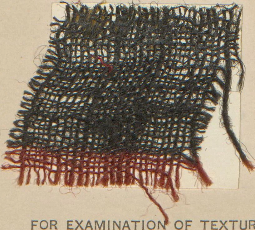 An illustration from Collection of specimens and illustrations of the textile manufactures of India. Second series, 1001-1041 / prepared under the direction of J. Forbes Watson, 1874, leaf 17