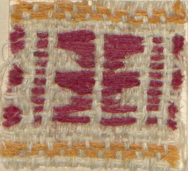An illustration from Collection of specimens and illustrations of the textile manufactures of India. Second series, 1001-1041 / prepared under the direction of J. Forbes Watson, 1874, leaf 20