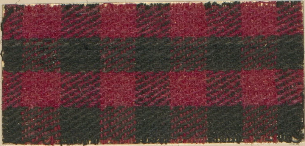 An illustration from Collection of specimens and illustrations of the textile manufactures of India. Second series, 1001-1041 / prepared under the direction of J. Forbes Watson, 1874, leaf 21