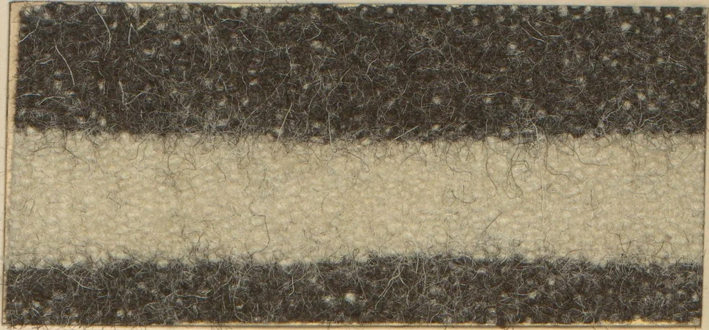 An illustration from Collection of specimens and illustrations of the textile manufactures of India. Second series, 1001-1041 / prepared under the direction of J. Forbes Watson, 1874, leaf 25