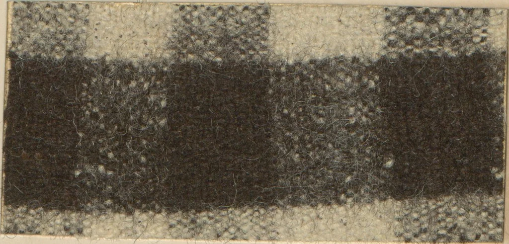 An illustration from Collection of specimens and illustrations of the textile manufactures of India. Second series, 1001-1041 / prepared under the direction of J. Forbes Watson, 1874, leaf 25