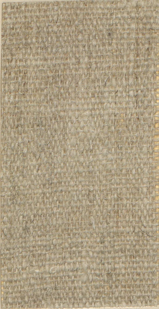 An illustration from Collection of specimens and illustrations of the textile manufactures of India. Second series, 1001-1041 / prepared under the direction of J. Forbes Watson, 1874, leaf 26