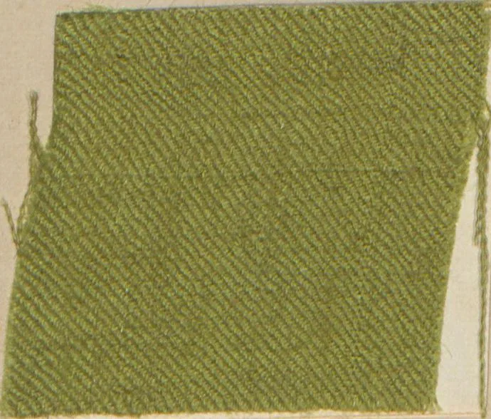 An illustration from Collection of specimens and illustrations of the textile manufactures of India. Second series, 1001-1041 / prepared under the direction of J. Forbes Watson, 1874, leaf 32