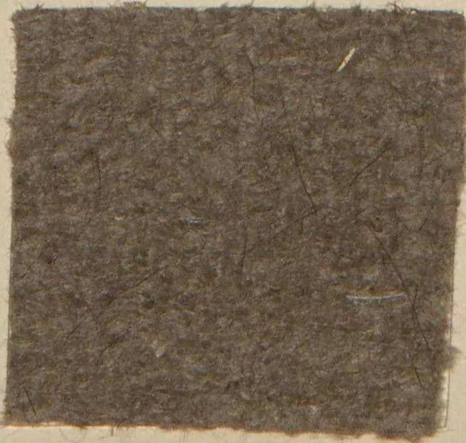 An illustration from Collection of specimens and illustrations of the textile manufactures of India. Second series, 1001-1041 / prepared under the direction of J. Forbes Watson, 1874, leaf 34