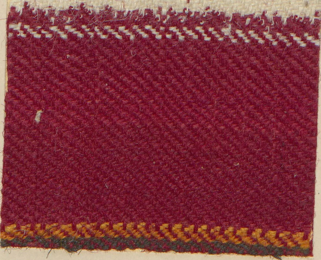An illustration from Collection of specimens and illustrations of the textile manufactures of India. Second series, 1001-1041 / prepared under the direction of J. Forbes Watson, 1874, leaf 36