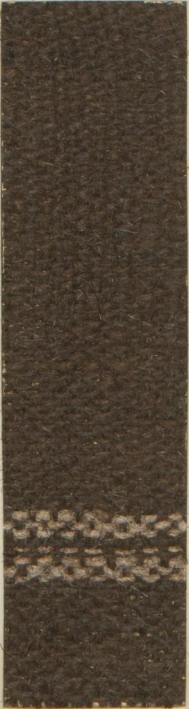 An illustration from Collection of specimens and illustrations of the textile manufactures of India. Second series, 1001-1041 / prepared under the direction of J. Forbes Watson, 1874, leaf 8