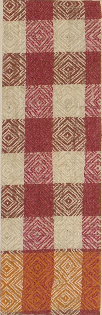 An illustration from Collection of specimens and illustrations of the textile manufactures of India. Second series, 0065-0100 / prepared under the direction of J. Forbes Watson, leaf 19