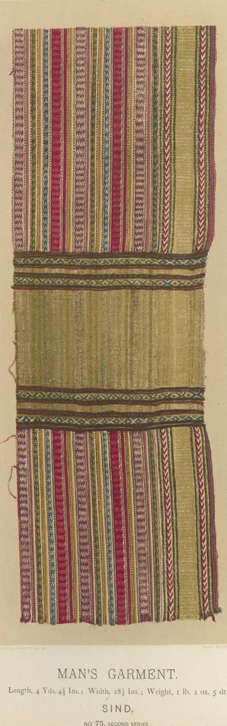 An illustration from Collection of specimens and illustrations of the textile manufactures of India. Second series, 0065-0100 / prepared under the direction of J. Forbes Watson, leaf 24