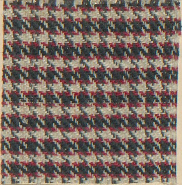 An illustration from Collection of specimens and illustrations of the textile manufactures of India. Second series, 0692-0751 / prepared under the direction of J. Forbes Watson, 1874, leaf 11