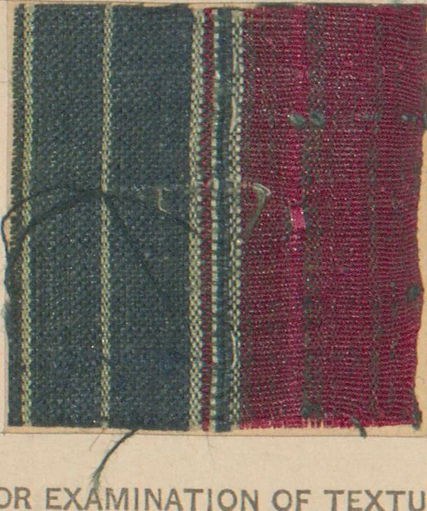An illustration from Collection of specimens and illustrations of the textile manufactures of India. Second series, 0692-0751 / prepared under the direction of J. Forbes Watson, 1874, leaf 12