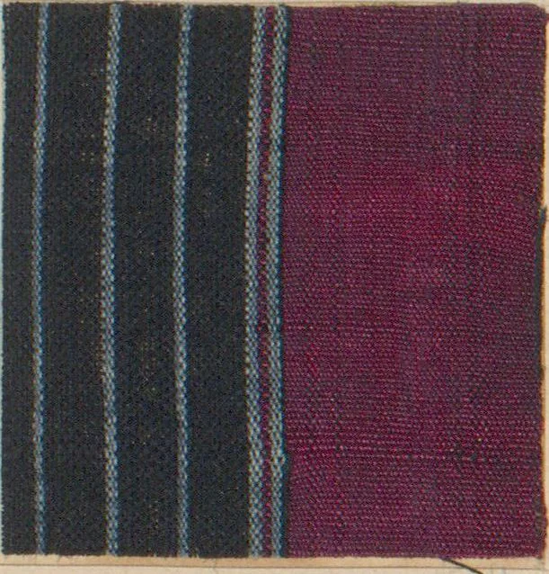 An illustration from Collection of specimens and illustrations of the textile manufactures of India. Second series, 0692-0751 / prepared under the direction of J. Forbes Watson, 1874, leaf 14