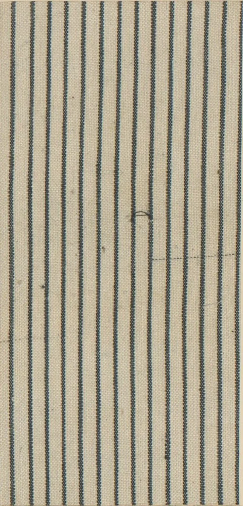 An illustration from Collection of specimens and illustrations of the textile manufactures of India. Second series, 0692-0751 / prepared under the direction of J. Forbes Watson, 1874, leaf 17