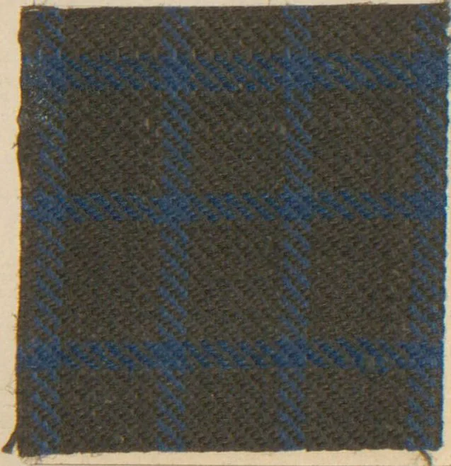 An illustration from Collection of specimens and illustrations of the textile manufactures of India. Second series, 0692-0751 / prepared under the direction of J. Forbes Watson, 1874, leaf 19