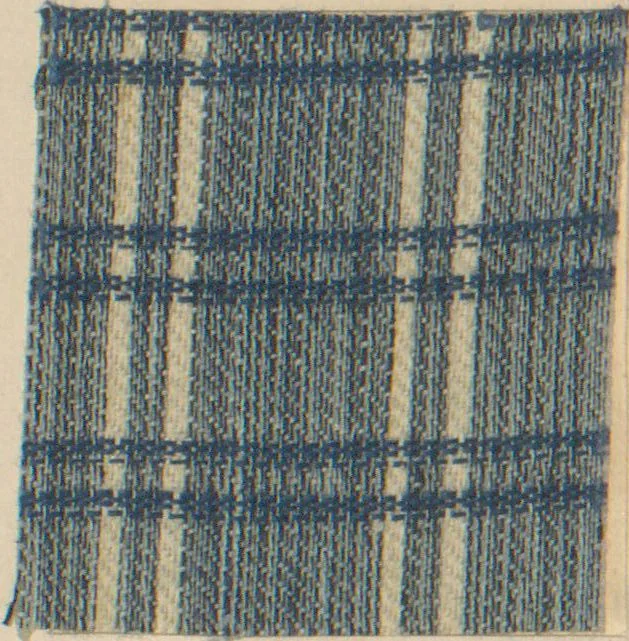 An illustration from Collection of specimens and illustrations of the textile manufactures of India. Second series, 0692-0751 / prepared under the direction of J. Forbes Watson, 1874, leaf 24