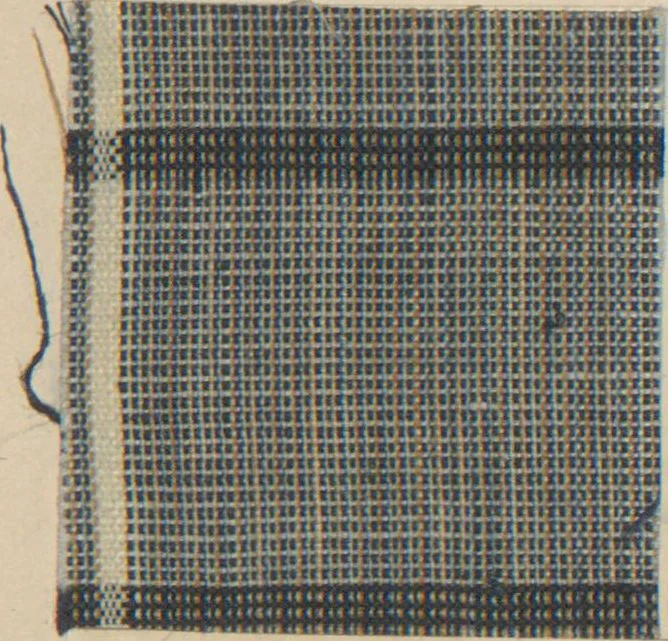 An illustration from Collection of specimens and illustrations of the textile manufactures of India. Second series, 0692-0751 / prepared under the direction of J. Forbes Watson, 1874, leaf 25
