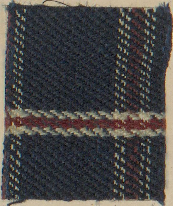 An illustration from Collection of specimens and illustrations of the textile manufactures of India. Second series, 0692-0751 / prepared under the direction of J. Forbes Watson, 1874, leaf 26