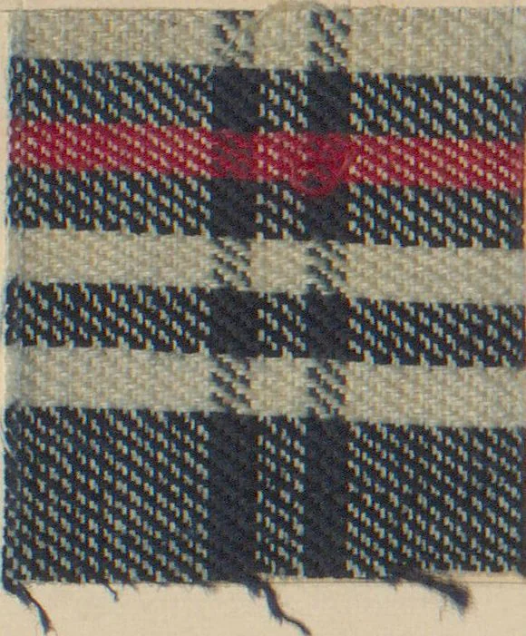 An illustration from Collection of specimens and illustrations of the textile manufactures of India. Second series, 0692-0751 / prepared under the direction of J. Forbes Watson, 1874, leaf 28