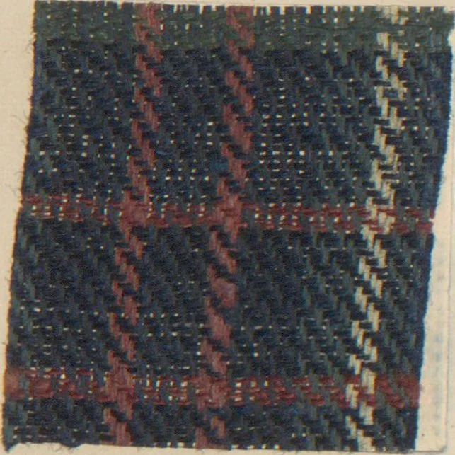 An illustration from Collection of specimens and illustrations of the textile manufactures of India. Second series, 0692-0751 / prepared under the direction of J. Forbes Watson, 1874, leaf 29