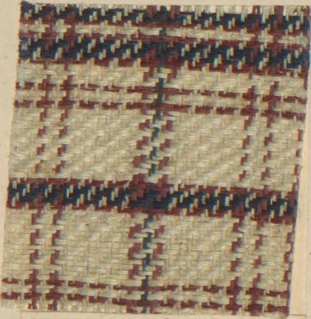 An illustration from Collection of specimens and illustrations of the textile manufactures of India. Second series, 0692-0751 / prepared under the direction of J. Forbes Watson, 1874, leaf 31