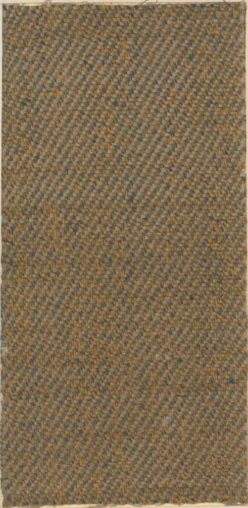 An illustration from Collection of specimens and illustrations of the textile manufactures of India. Second series, 0692-0751 / prepared under the direction of J. Forbes Watson, 1874, leaf 4
