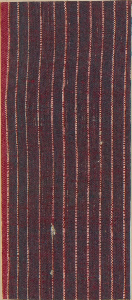 An illustration from Collection of specimens and illustrations of the textile manufactures of India. Second series, 0692-0751 / prepared under the direction of J. Forbes Watson, 1874, leaf 49