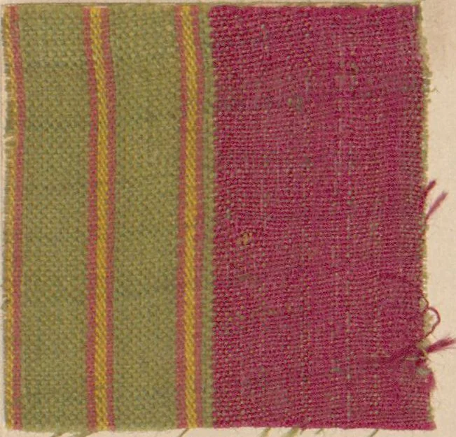 An illustration from Collection of specimens and illustrations of the textile manufactures of India. Second series, 0692-0751 / prepared under the direction of J. Forbes Watson, 1874, leaf 6