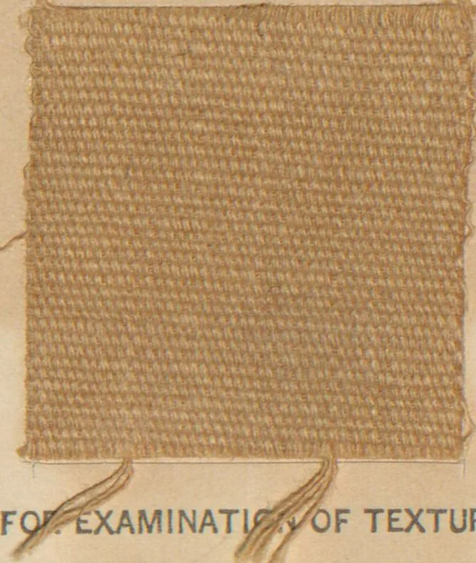 An illustration from Collection of specimens and illustrations of the textile manufactures of India. Second series, 0692-0751 / prepared under the direction of J. Forbes Watson, 1874, leaf 7
