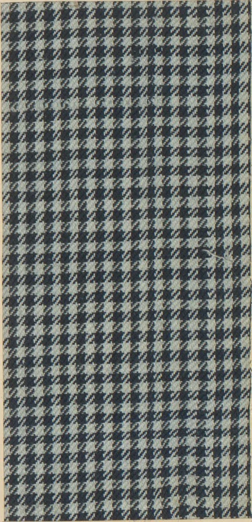An illustration from Collection of specimens and illustrations of the textile manufactures of India. Second series, 0692-0751 / prepared under the direction of J. Forbes Watson, 1874, leaf 9