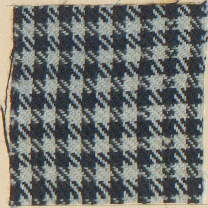 An illustration from Collection of specimens and illustrations of the textile manufactures of India. Second series, 0692-0751 / prepared under the direction of J. Forbes Watson, 1874, leaf 9