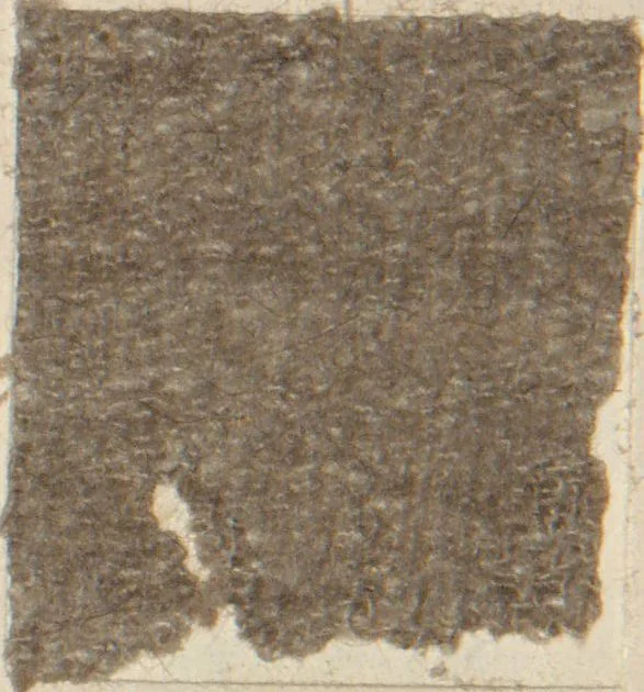 An illustration from Collection of specimens and illustrations of the textile manufactures of India. Second series, 1083-1120 / prepared under the direction of J. Forbes Watson, 1874, leaf 10
