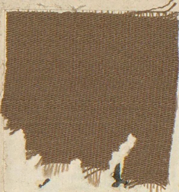 An illustration from Collection of specimens and illustrations of the textile manufactures of India. Second series, 1083-1120 / prepared under the direction of J. Forbes Watson, 1874, leaf 11