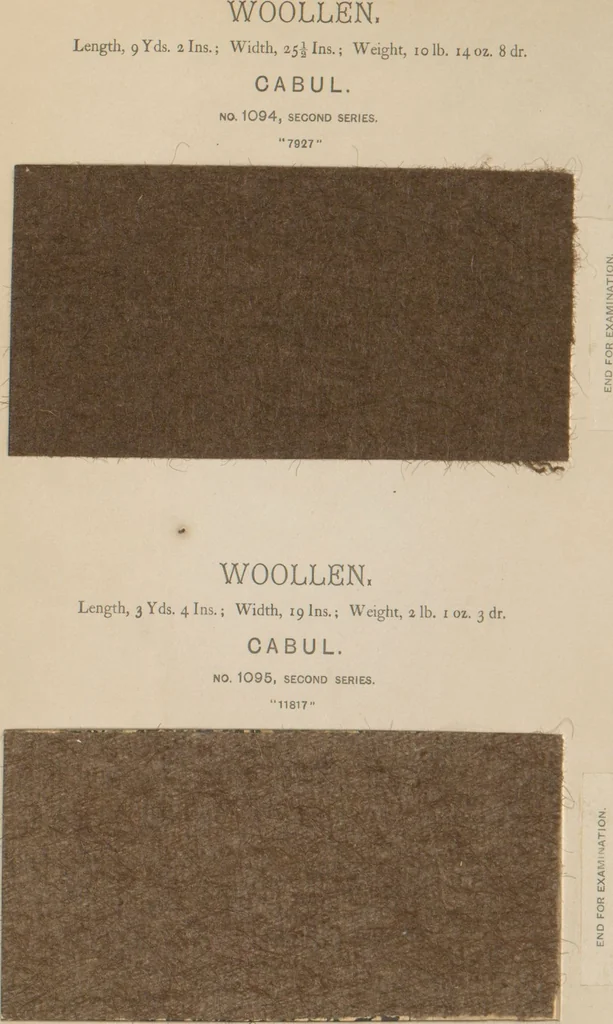 An illustration from Collection of specimens and illustrations of the textile manufactures of India. Second series, 1083-1120 / prepared under the direction of J. Forbes Watson, 1874, leaf 14