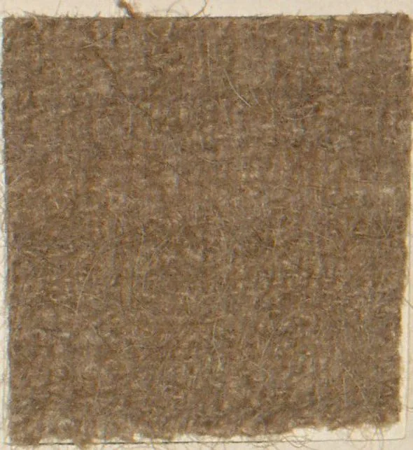 An illustration from Collection of specimens and illustrations of the textile manufactures of India. Second series, 1083-1120 / prepared under the direction of J. Forbes Watson, 1874, leaf 16