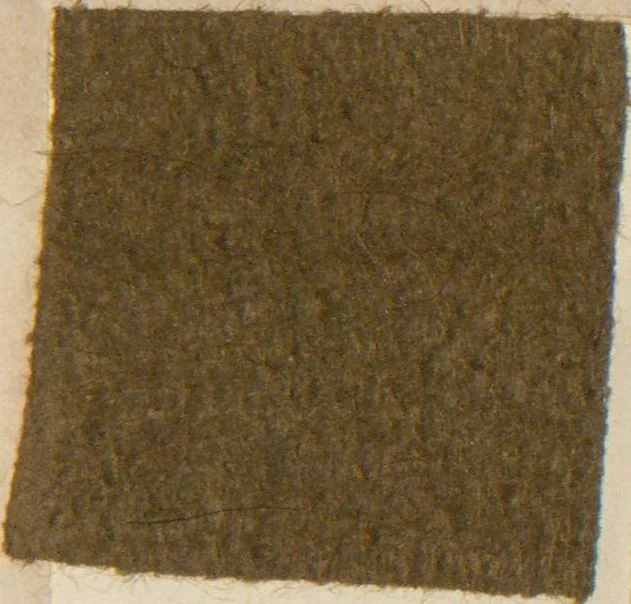 An illustration from Collection of specimens and illustrations of the textile manufactures of India. Second series, 1083-1120 / prepared under the direction of J. Forbes Watson, 1874, leaf 19