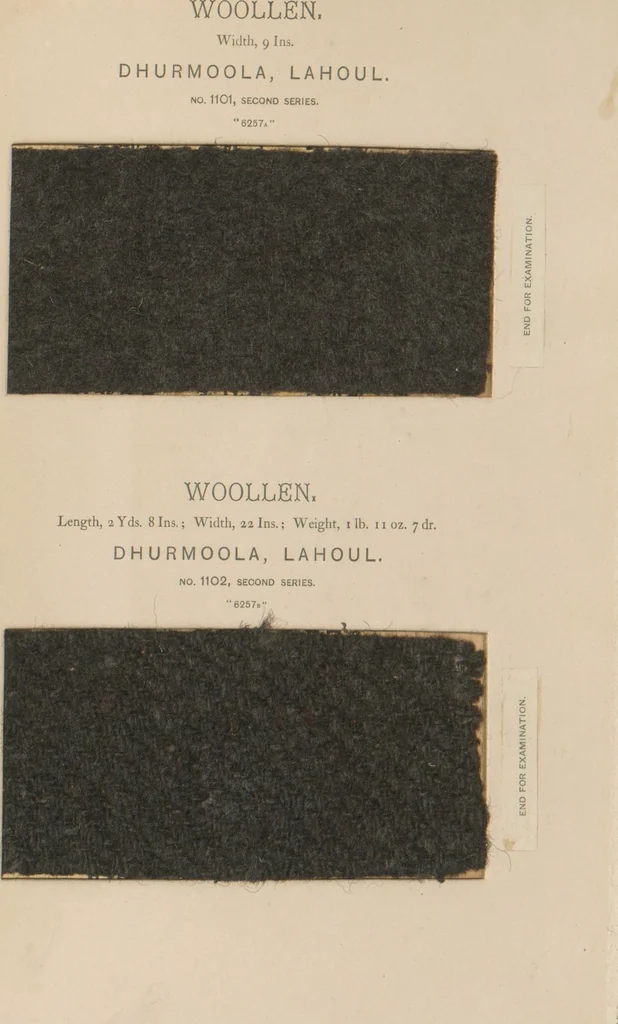 An illustration from Collection of specimens and illustrations of the textile manufactures of India. Second series, 1083-1120 / prepared under the direction of J. Forbes Watson, 1874, leaf 20