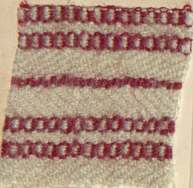 An illustration from Collection of specimens and illustrations of the textile manufactures of India. Second series, 1083-1120 / prepared under the direction of J. Forbes Watson, 1874, leaf 21