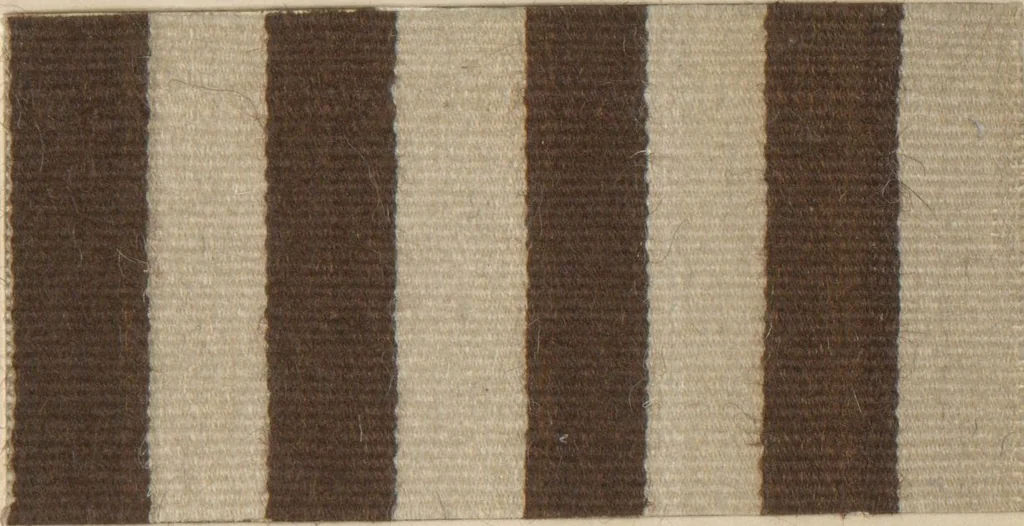 An illustration from Collection of specimens and illustrations of the textile manufactures of India. Second series, 1083-1120 / prepared under the direction of J. Forbes Watson, 1874, leaf 31