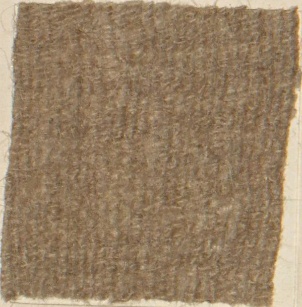 An illustration from Collection of specimens and illustrations of the textile manufactures of India. Second series, 1083-1120 / prepared under the direction of J. Forbes Watson, 1874, leaf 8