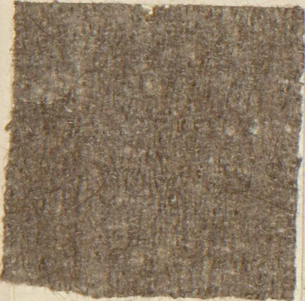 An illustration from Collection of specimens and illustrations of the textile manufactures of India. Second series, 1083-1120 / prepared under the direction of J. Forbes Watson, 1874, leaf 9