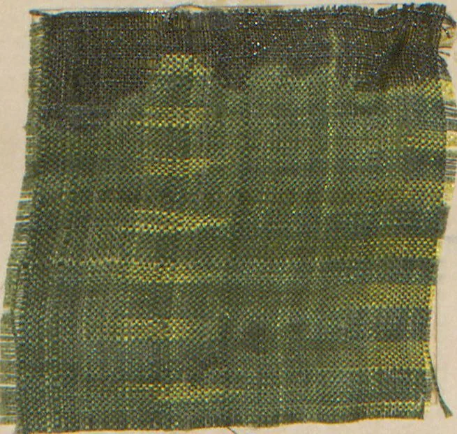 An illustration from Collection of specimens and illustrations of the textile manufactures of India. Second series, 0575-0631 / prepared under the direction of J. Forbes Watson, 1873, leaf 11