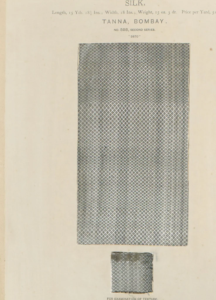 An illustration from Collection of specimens and illustrations of the textile manufactures of India. Second series, 0575-0631 / prepared under the direction of J. Forbes Watson, 1873, leaf 25