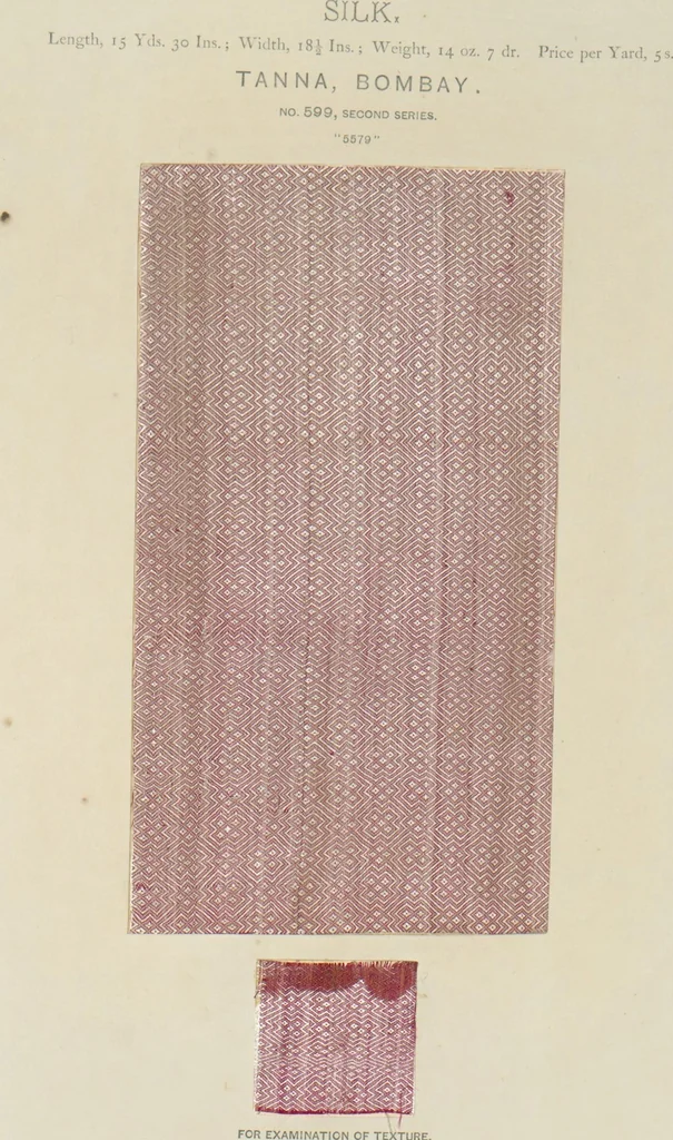 An illustration from Collection of specimens and illustrations of the textile manufactures of India. Second series, 0575-0631 / prepared under the direction of J. Forbes Watson, 1873, leaf 26