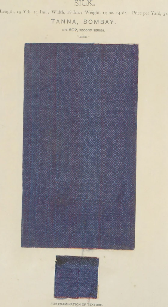 An illustration from Collection of specimens and illustrations of the textile manufactures of India. Second series, 0575-0631 / prepared under the direction of J. Forbes Watson, 1873, leaf 29